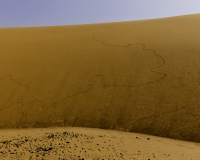 Disegni sulla duna del deserto dopo Fada Foto n. POA1289