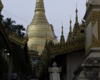 Shwedagon Paya (Pagoda) Foto n. AOK6878