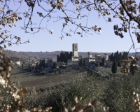 Abbazia di San Michele Arcangelo a Passignano (IX secolo) Foto n. 0890