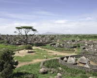 Villaggio di Nakapelinoru, etnia Jie, Uganda Foto n. 1949