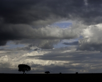 Tramonto nel Kidepo National Park, Uganda Foto n. 2265