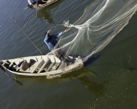 Pescatori sul Lago Amarapura ripresi dal ponte in tek U Bein Foto n. AOK7319-b