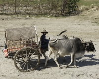 Taxi sulla spiggia a Mingun Foto n. AOK7480