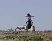 Vita lungo il fiume Irrawaddy Foto n. AOK7569