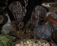 Mercato di Sittwe noce di palma  Foto n. AOK9200
