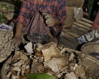 Mercato di Sittwe tamarindo sbucciato Foto n. AOK9204