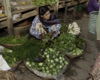 Mercato di Sittwe verdure miste Foto n. AOK9219