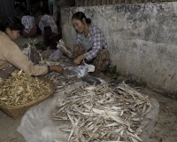 Pesci essiccati al Mercato di Sittwe Foto n. AOK9230