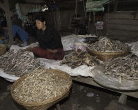 Pesci essiccati al Mercato di Sittwe Foto n. AOK9231