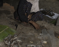 Gamberi al Mercato di Sittwe  Foto n. AOK9242