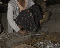 Granchi al Mercato di Sittwe Foto n. AOK9243