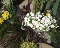 Mercato di Sittwe fiori Foto n. AOK9252