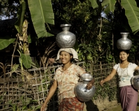 Donne con brocche nei dintorni di Sittwe Foto n. AOK9345