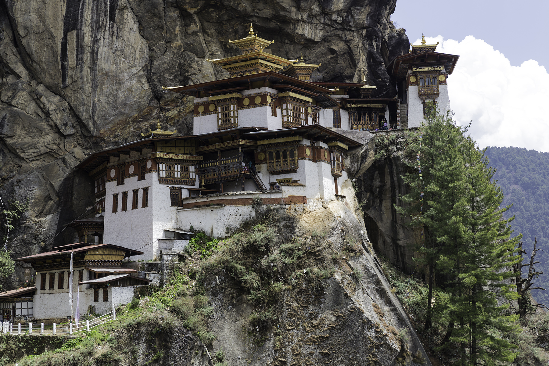 Monastero di Taktsang a Paro Bhutan Foto N.POA7104